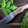 Нож Сом, сталь N690, рукоять комель ореха, мельхиор, полировка клинка "сатин"